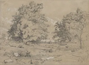 Secluded Prints: A Pond In The Forest, c1840. Creator: Constant Troyon