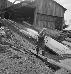 Logging Prints: Pond monkey carrying cable from mill shed to pond