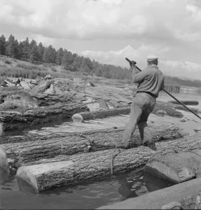 Trousers Collection: Pond monkey channels log raft, Keno, Klamath County, Oregon, 1939. Creator: Dorothea Lange