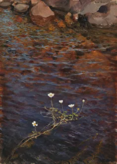 Pond Water Crowfoot, 1895. Creator: Eero Jarnefelt