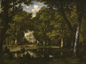 Narcisse Diaz Gallery: Pond in the Woods, 1862. Creator: Narcisse Virgile Diaz de la Pena