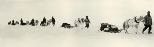 Ponies on the March, 1911, (1913). Artist: Frank Debenham