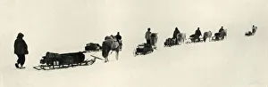 Ponies on the March, 1911, (1913). Artist: Herbert Ponting