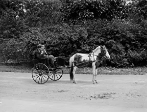 Pony cart, Belle Isle Park, Detroit, Mich. between 1900 and 1908. Creator: Unknown