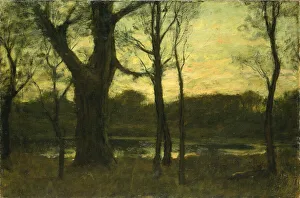 A Pool in the Forest, late 19th century. Creator: Benjamin Rutherford Fitz