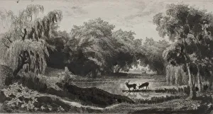 1817 1878 Prints: The Pool with Stags, 1845. Creator: Charles Francois Daubigny (French, 1817-1878)