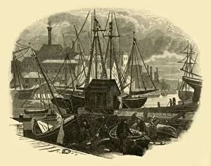 Poole Prints: Poole Harbour, 1898. Creator: Unknown