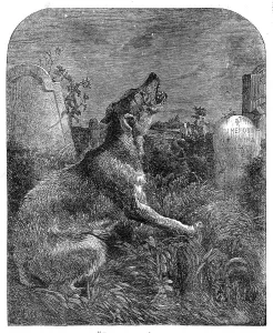 Lonely Prints: The Poor Man's Grave, 1860