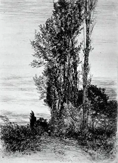 Poplars, c1898. Creator: Peter von Halm