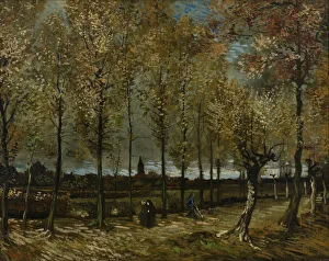 Poplars Prints: Poplars near Nuenen, 1885. Artist: Gogh, Vincent, van (1853-1890)