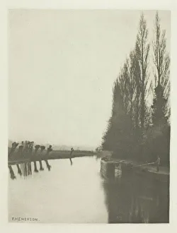 Edition 109 250 Prints: Poplars and Pollards on the Lea, Near Broxbourne, 1880s. Creator: Peter Henry Emerson