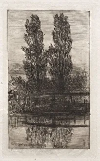 Otto H Bacher American Prints: Poplars, Royal Garden, Schleissheim, 1879. Creator: Otto H. Bacher (American, 1856-1909)
