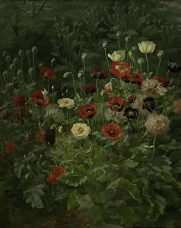 Seed Head Prints: Poppies, 1892. Creator: Anthonie Leonore Christensen