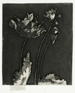 Last Poppies, 1897. Creator: Theodore Roussel