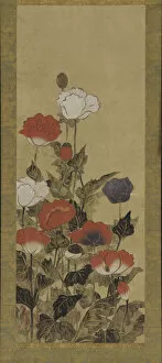 Kakejiku Collection: Poppies, Edo period, late 17th-late 19th century. Creator: Unknown