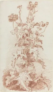 Huet Jean Baptiste I Prints: Poppies with Seed Pods, mid 1760s. Creator: Jean Baptiste Marie Huet