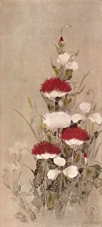 Bloom Prints: Poppies, Wheat, and Natane Flowers, 17th century. Artist: Sotatsu