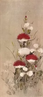 Growth Gallery: Poppies, Wheat, and Natane Flowers, 17th century. Artist: Sotatsu