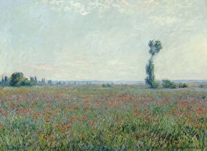 South France Gallery: Poppy field, 1881. Artist: Monet, Claude (1840-1926)