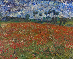 Images Dated 2nd November 2013: Poppy field, 1890. Artist: Gogh, Vincent, van (1853-1890)