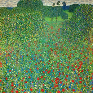 Images Dated 30th October 2013: Poppy Field, 1907. Artist: Klimt, Gustav (1862-1918)