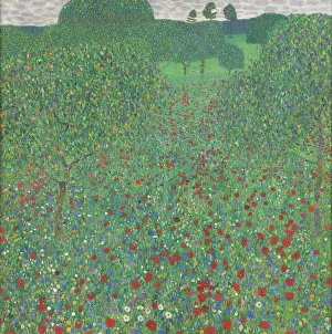 Gustav 1862 1918 Prints: Poppy Field, 1907. Creator: Klimt, Gustav (1862-1918)