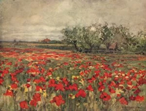 Cloudy Gallery: The Poppy Field, c1900, (c1915). Artist: George Hitchcock