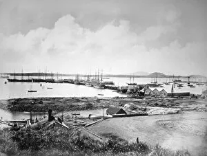 Auckland Gallery: The port, Auckland, New Zealand, c1870-1880