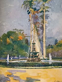 Alured Gray Gallery: A portion of the Avenue of Royal Palms, Botanical Gardens, 1914