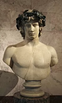Images Dated 22nd June 2011: Portrait of Antinous, mid 2nd century