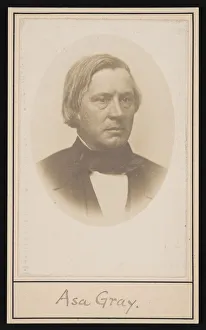 Portrait of Asa Gray (1810-1888), Before 1876. Creator: Unknown