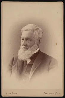 Portrait of Asa Gray (1810-1888), March 1887. Creator: Pach Bros Portrait of Asa Gray (1810-1888), March 1887. Creator: Pach Bros