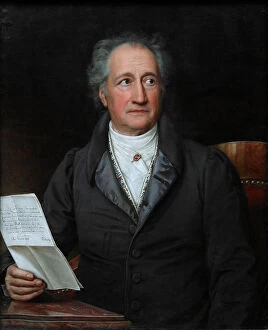Images Dated 1st November 2013: Portrait of the author Johann Wolfgang von Goethe (1749-1832), 1828