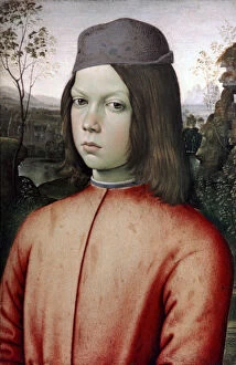Bernardino Di Betto Collection: Portrait of a Boy, c1480-1485. Artist: Bernardino Pinturicchio