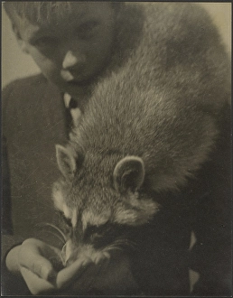 Raccoon Prints: Portrait of a Boy Feeding a Raccoon, 1907-1943. Creator: Louis Fleckenstein