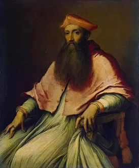 Images Dated 10th March 2011: Portrait of Cardinal Reginald Pole, 1540s