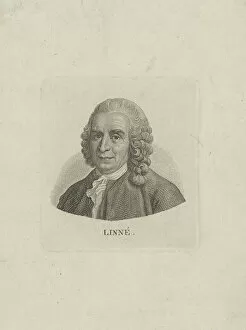 Carl Von Linne Collection: Portrait of Carl Linnaeus (1707-1778), c. 1780. Creator: Anonymous