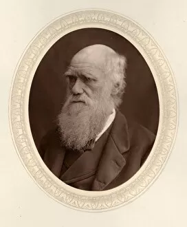 Charles Darwin Collection: Portrait of Charles Darwin (1809-1882), 1877. Creator: Photo studio Lock &