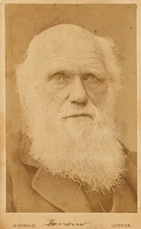 Darwin Prints: Portrait of Charles Darwin (1809-1882), 1881. Creator: Barraud, Herbert Rose (1845-1896)