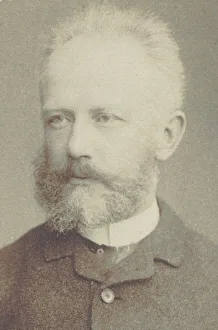 Portrait of the composer Pyotr Ilyich Tchaikovsky (1840-1893), 1884