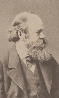 Hanfstaengl Prints: Portrait of the composer Robert von Hornstein (1833-1890)