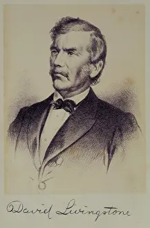 Livingstone David Prints: Portrait of David Livingstone, 1875. Creator: Unknown