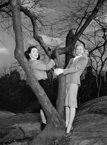 Central Park Prints: Portrait of Doris Day and Kitty Kallen