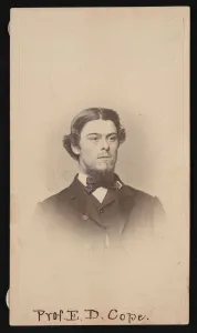 Portrait of Edward Drinker Cope (1840-1897), Circa 1860s. Creator: Unknown Portrait of Edward Drinker Cope (1840-1897), Circa 1860s. Creator: Unknown