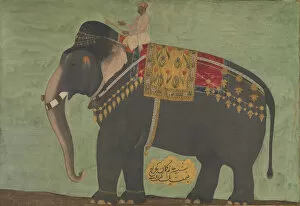 Emperor Jahangir Gallery: Portrait of the Elephant Alam Guman, ca. 1640. Creator