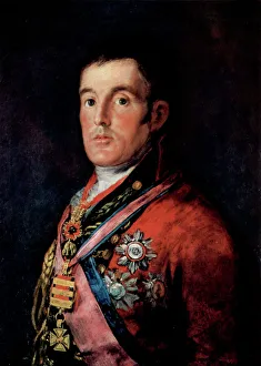 Duke Collection: Portrait of Field Marshal Arthur Wellesley, 1st Duke of Wellington, c1814. Artist: Francisco Goya