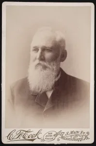 Historian Prints: Portrait of Henry Blackman Plumb (1829-1921), Before 1894. Creator: Charles F Cook