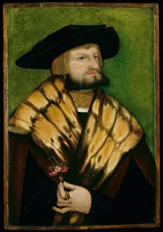 Fur Coat Gallery: Portrait of Leonhard Fuchs, 1525. Creator: Unknown