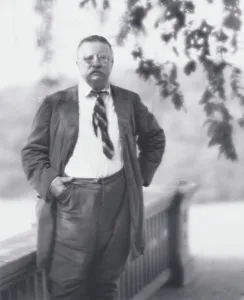 Informal Prints: Portrait photograph of Theodore Roosevelt, 1916 Sept. 8. Creator: Arnold Genthe