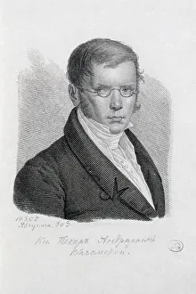 Vyazemsky Prints: Portrait of the Poet Prince Pyotr Andreyevich Vyazemsky (1792-1878)